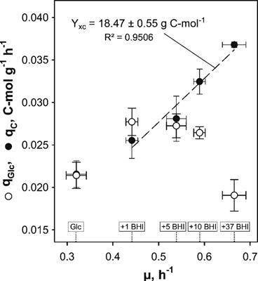 Physiological Response of Corynebacterium glutamicum to Increasingly Nutrient-Rich Growth Conditions